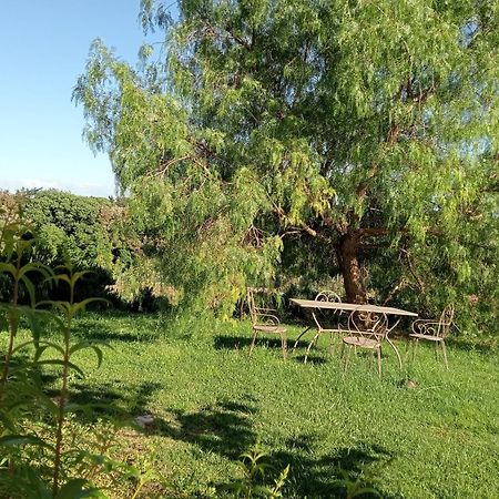 Agriturismo Podere Gianmaria كاسْتيلونْشيلّو المظهر الخارجي الصورة