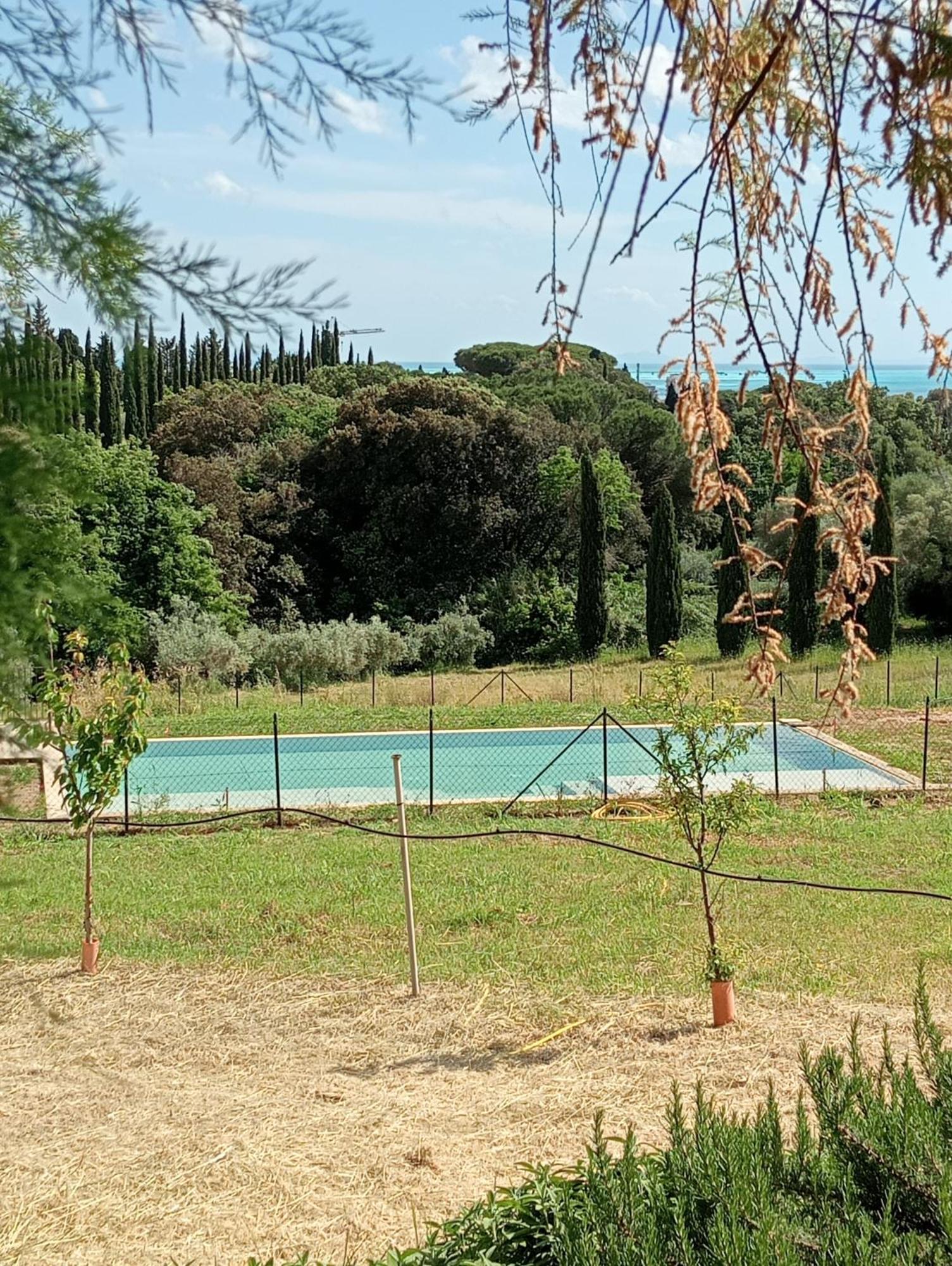 Agriturismo Podere Gianmaria كاسْتيلونْشيلّو المظهر الخارجي الصورة