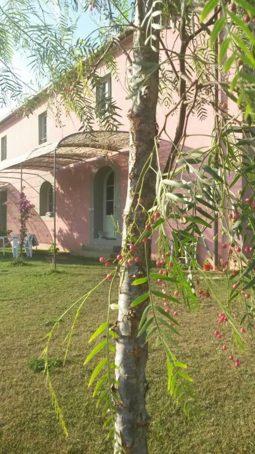 Agriturismo Podere Gianmaria كاسْتيلونْشيلّو المظهر الخارجي الصورة